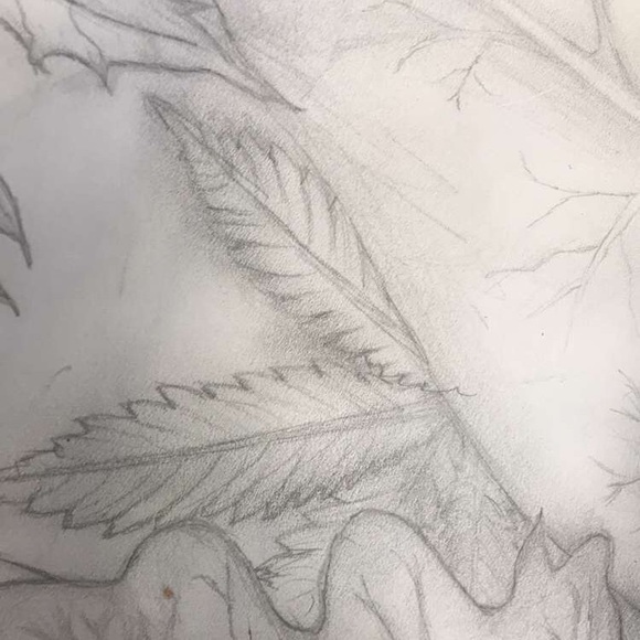 Meet your Posher, Brianna - Picture 1 of 1